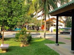Blk 205 Toa Payoh North (Toa Payoh), HDB 3 Rooms #85501502